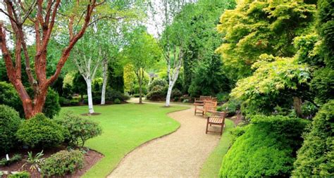 gradina moderna mixta gradini cluj