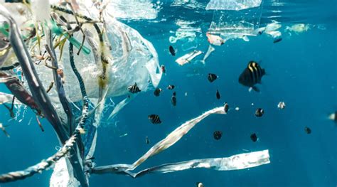 Umweltproblem Plastik Im Ozean Electrolux Und Big Blue Ocean Cleanup