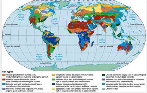 Soil Mapping May Indicate Success of Brush Control Method - Geology In