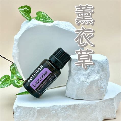 ⚡️現貨⚡️【多特瑞】薰衣草精油 15ml 🔥保證公司貨🔥🉑️刷卡💳doterra 蝦皮購物