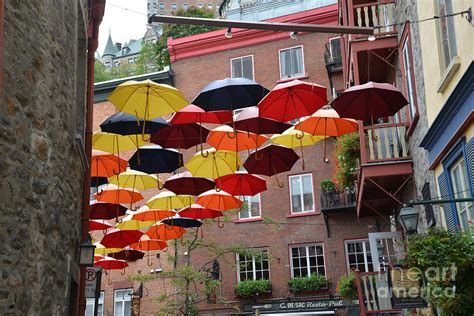 Umbrella Alley / Quebec Photograph by Brian Walsh - Fine Art America