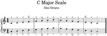 C Major Piano Scale Cropped PNG by Jessica Duncan | TPT