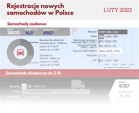 Rejestracje Nowych Samochod W W Polsce Luty Raport Zds I Pzpm