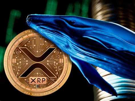 Millions Of Xrp Shifted By Whales As Price Hits Key Support Guest Post