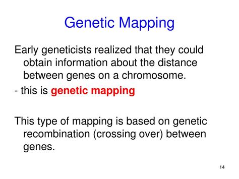 Ppt Chromosomes Mapping And The Meiosis Inheritance Connection