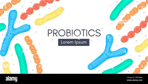 Probiotics Bifidobacterium Lactobacillus Streptococcus Thermophilus