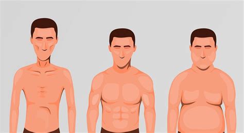 Los Tipos De Cuerpo Que Existen Y Sus Caracter Sticas Ectomorfo