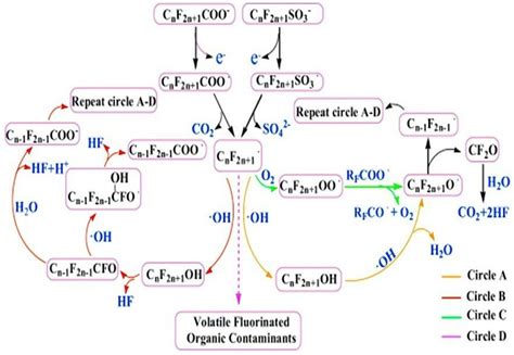 Schematic Diagram Illustrating The Electrochemical Oxidation Mechanism