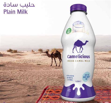 Camelicious | Food Export Market