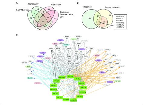 Differential Expression Profiles Of Mirnas During Dn A Venn