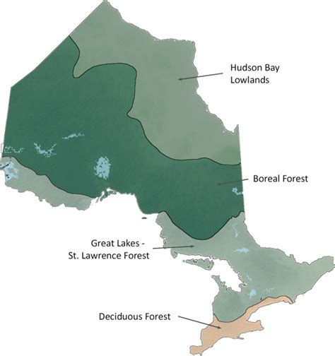 Archived - Geographic profiles | Forest Resources of Ontario 2016 ...