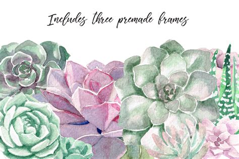 Watercolor Succulent At Getdrawings Free Download