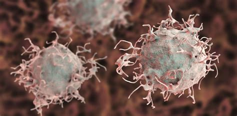 Isolation Of Melanoma Cells Nordmark Pharma GmbH