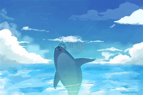 海中的鲸鱼插画图片下载 正版图片400105810 摄图网