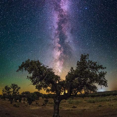 Dónde y cómo ver las estrellas en Extremadura Senderos Nocturnos y