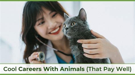 20 Cool Careers With Animals That Pay Well