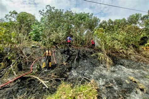 Waspada Karhutla BMKG Balikpapan Deteksi 15 Titik Panas Di Kaltim