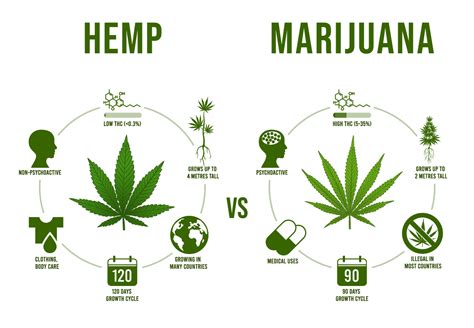 Hemp Oil Vs Cbd Oil — Is There A Difference