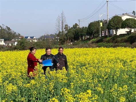 清廉望城建设丨有力监督强护航 不误农时不负春澎湃号·政务澎湃新闻 The Paper