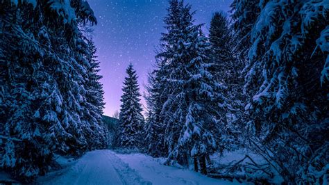 1920X1080 HD Night Winter Wallpapers - Top Free 1920X1080 HD Night ...