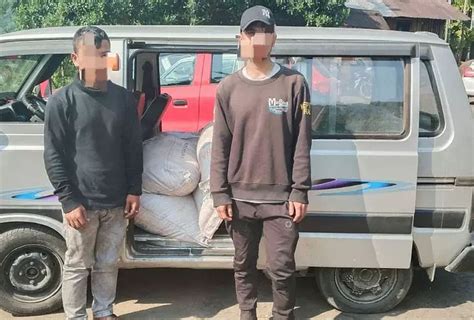 Meghalaya Bsf Thwarts Sugar Smuggling Attempt Apprehends Two Nationals