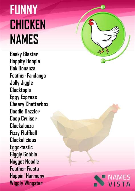 550 Funny Chicken Names Best Ideas