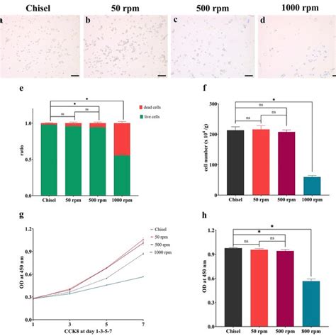 Cell Counting Viability And Proliferation A D Trypan Blue Staining