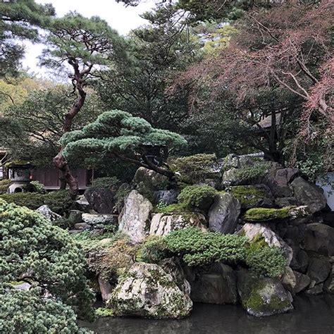 Japanese Garden Plants for Zen Gardens