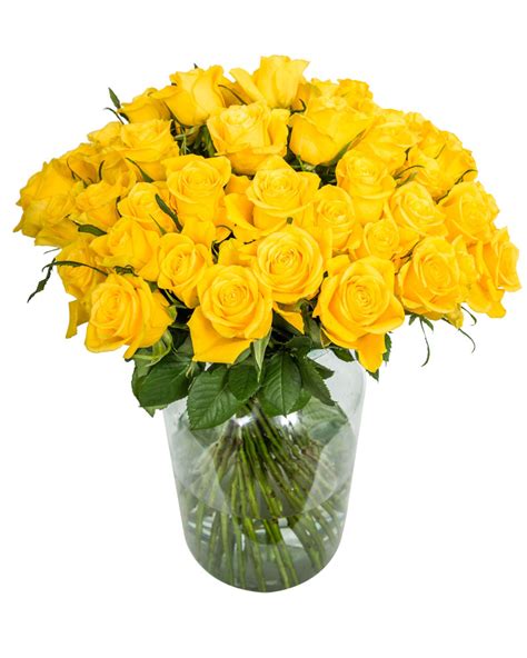 60 Long Stemmed Yellow Roses Fresh Yellow Roses 60 Yellow Roses