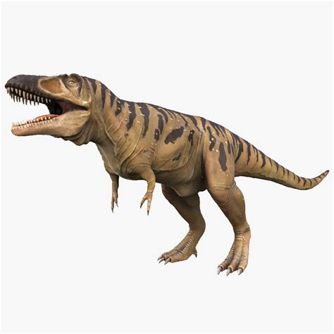 Tarbosaurus Pictures & Facts - The Dinosaur Database