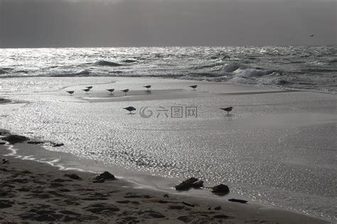 海滩 海岸 整体的一部分水域高清图库素材免费下载 图片编号 7391854 六图网