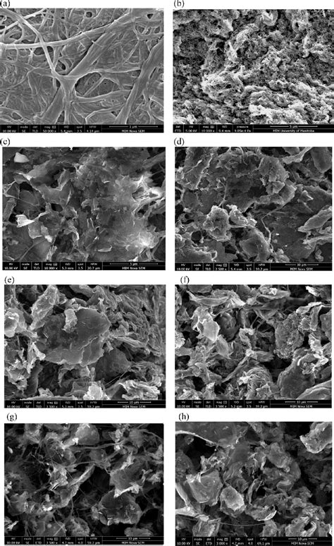 Surface SEM Images Of The Nanocellulose Film And Nanocellulose Based