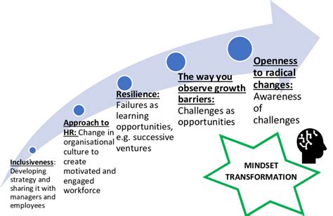 Mindset Transformation Illustrative Examples Download Scientific Diagram