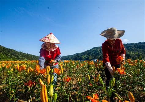 习近平与美丽中国建设丨“青山绿水是无价之宝”——福建省三明市干部群众访谈录 时政 人民网