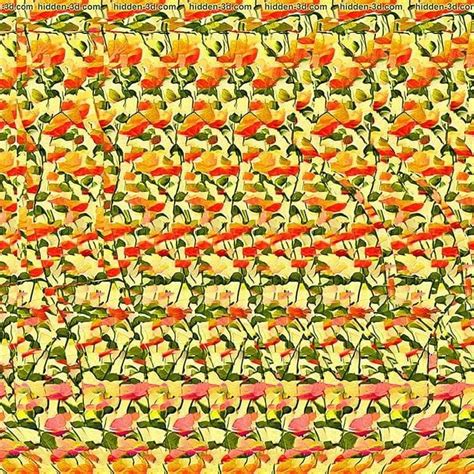 Pin By Julio César Puma Frisancho On Estereogramas Y 3d Magic Eye Pictures Optical Illusions