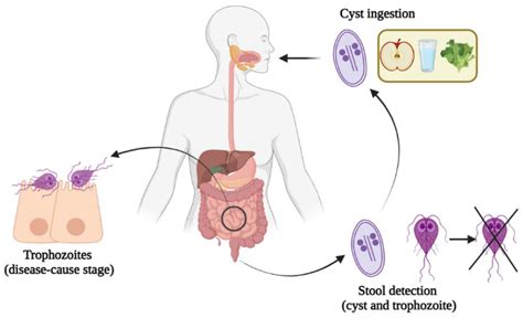 Jcm Free Full Text Incidence Management Experience And Characteristics Of Patients With