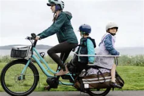 Bici E Cargo Bike Elettriche Al Via Il Bando Della Regione Contributi