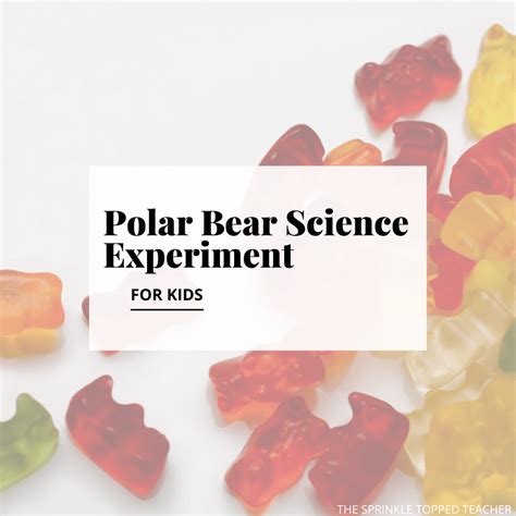 Polar Bear Science Experiment For Kids