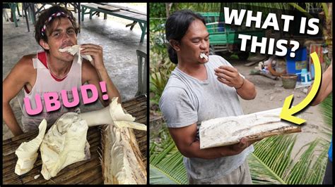 Filipino Survival Food Eating Coconut Tree Strange Snack