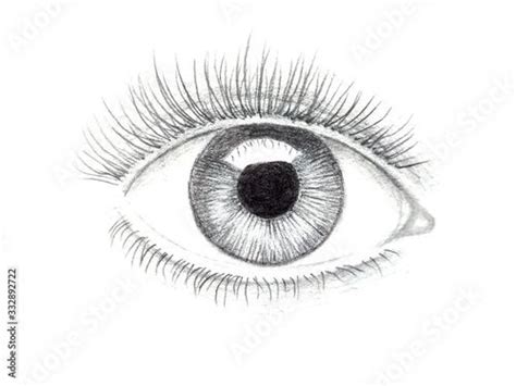 Human Eye Drawing Detailed Pencil Illustration