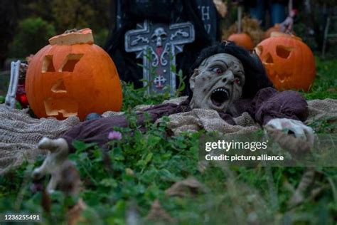 265 Crawling Zombie Stock Photos High Res Pictures And Images Getty