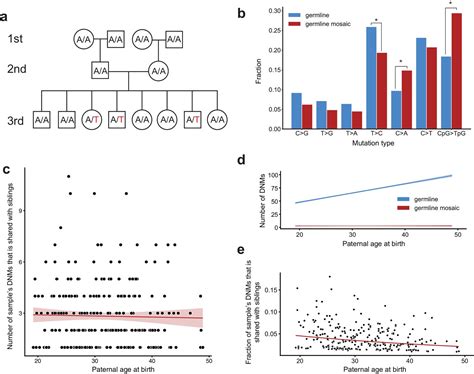 Large Three Generation Human Families Reveal Post Zygotic Mosaicism