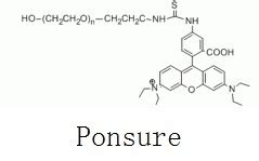 Rhodamine Peg Hydroxyl Rb Peg Oh Peg