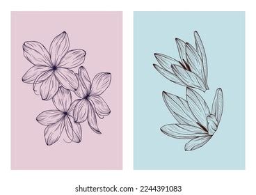 Beautiful Flower Wall Art Pencil Sketch Stock Vector (Royalty Free ...