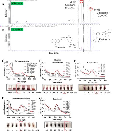 Synthesis And Optimization Of Cj Aunps Lc Ms Analysis Present The Main