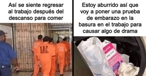 Divertidos Memes Sobre La Vida Laboral Que Querr S Compartir Con Tus