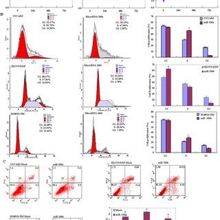 Effects Of MiR 106b Transfection On Ovarian Carcinoma Cell