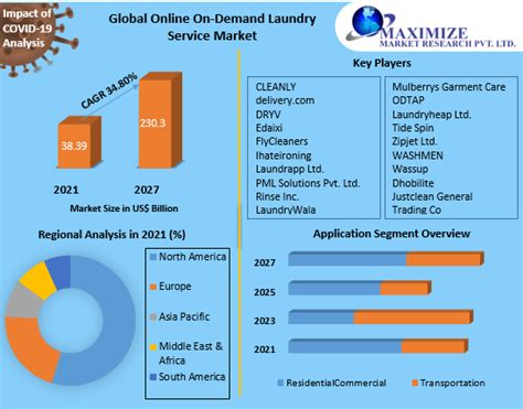 Online On Demand Laundry Service Market Global Industry Analysis