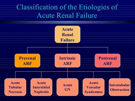 10 Palevsky Acute Renal Failure