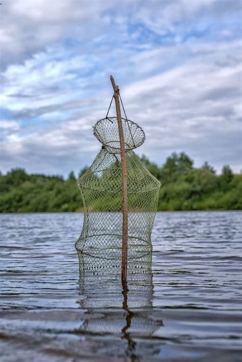 Lagoa De Pesca Armadilha Um Dispositivo Para Armazenar Peixes